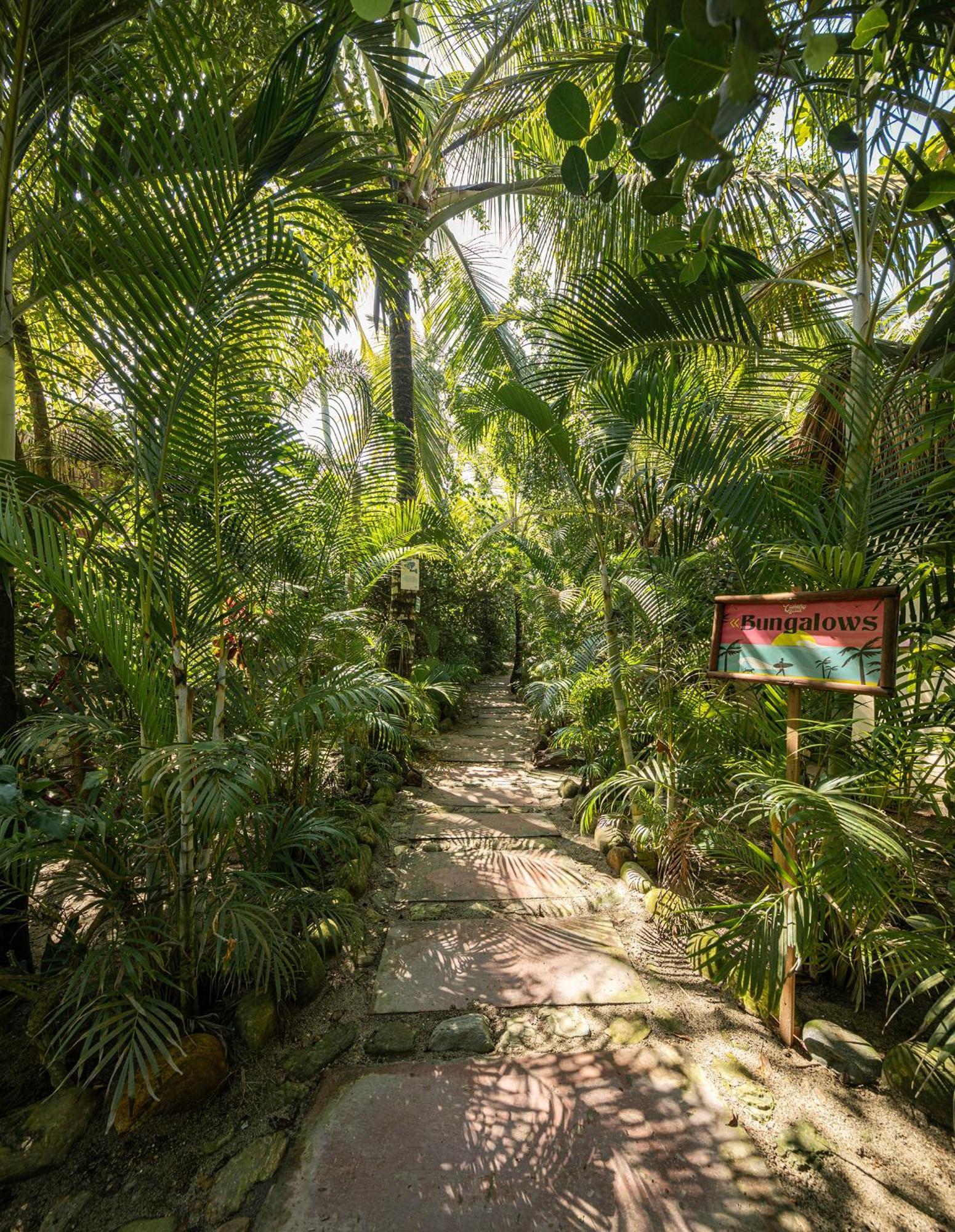 Costeno Beach Hotel ซันตามาร์ตา ภายนอก รูปภาพ
